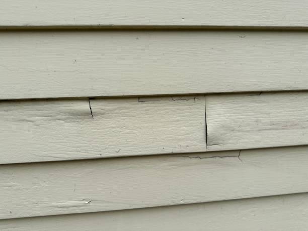 Best Residential Vinyl Siding Installation  in Antioch, IL